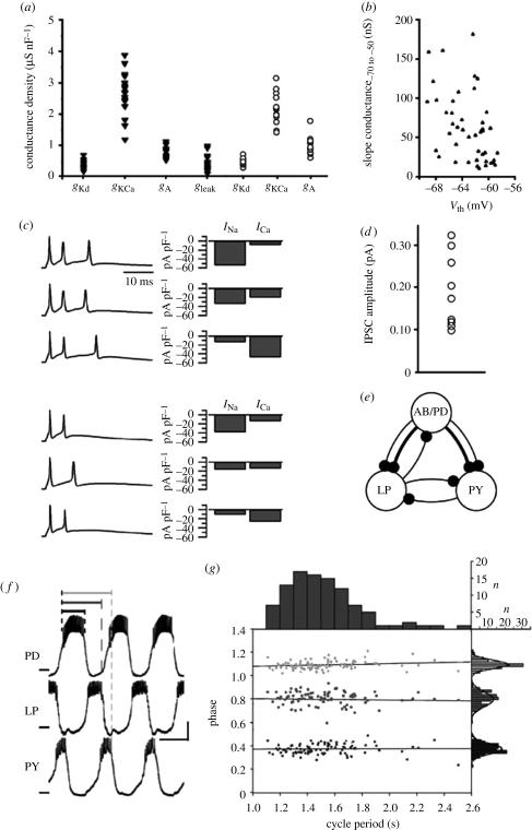 Figure 1.