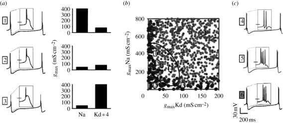 Figure 2.