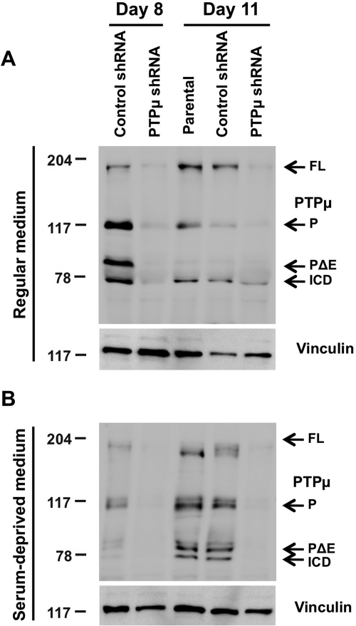 Fig. 2.