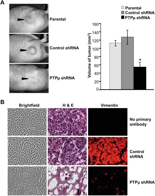 Fig. 6.