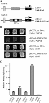 FIG. 6.