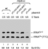 FIG. 5.