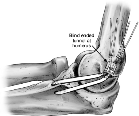 Fig. 8