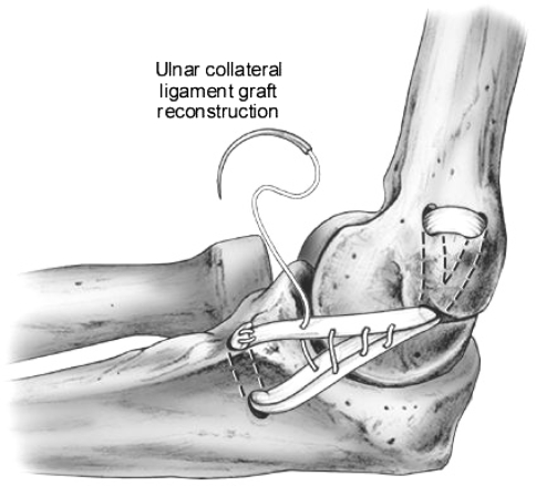 Fig. 5