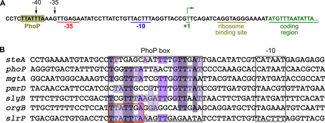 FIG 6