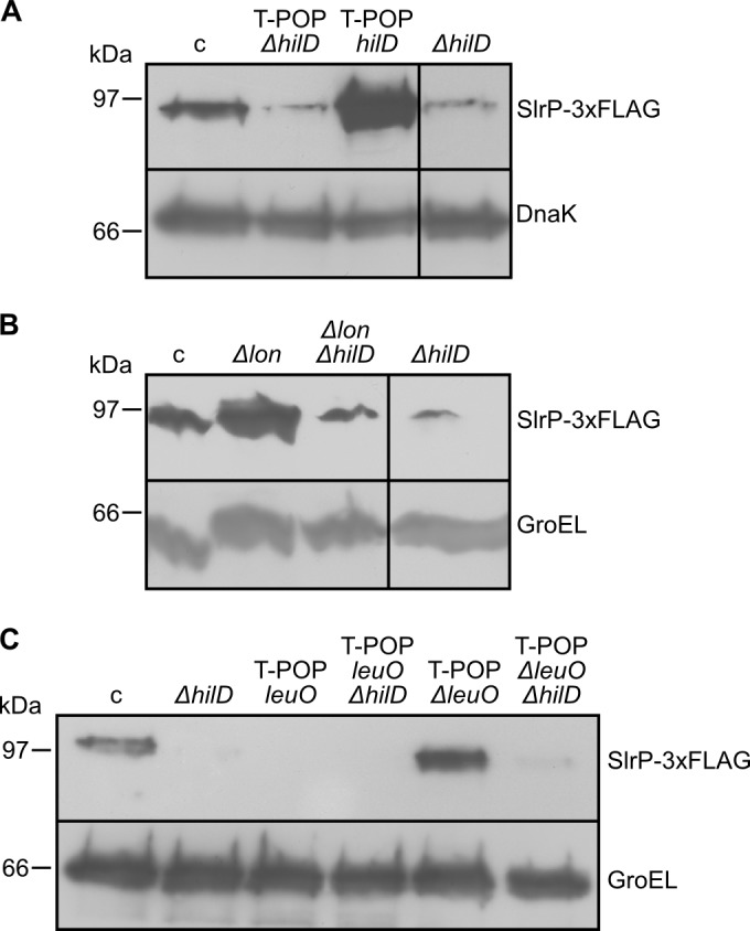 FIG 5