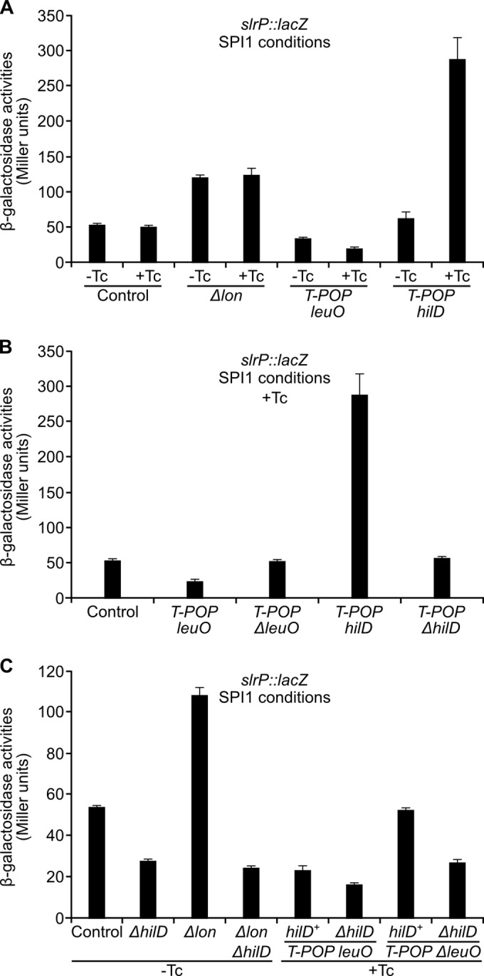 FIG 4