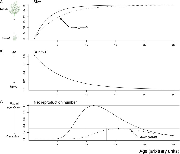 FIG 1