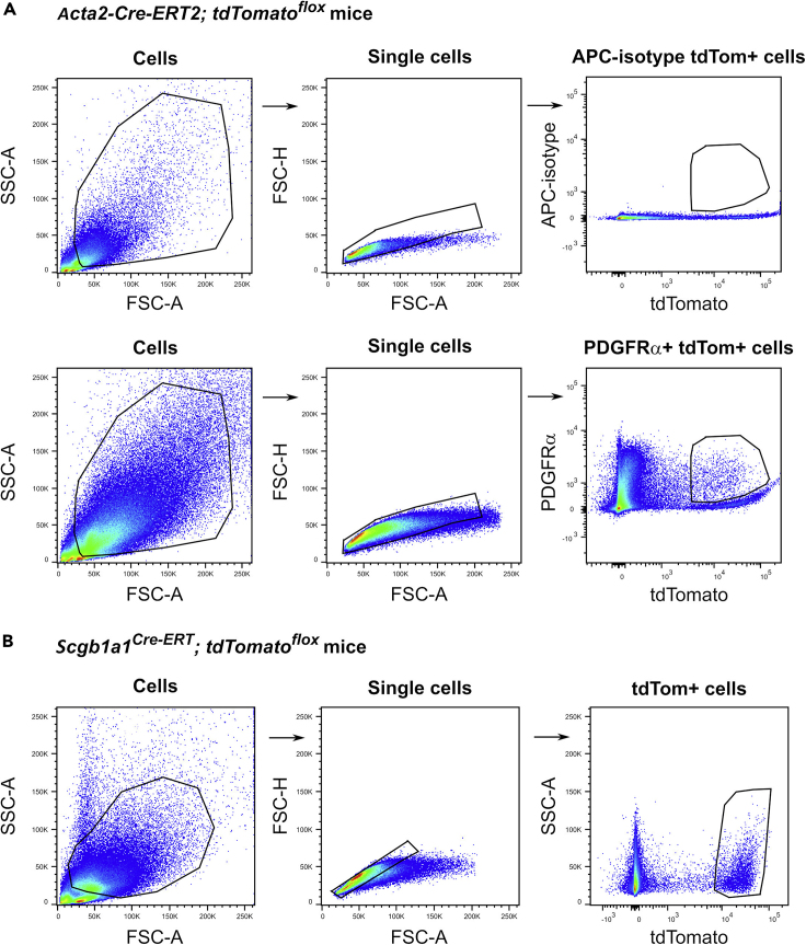 Figure 1