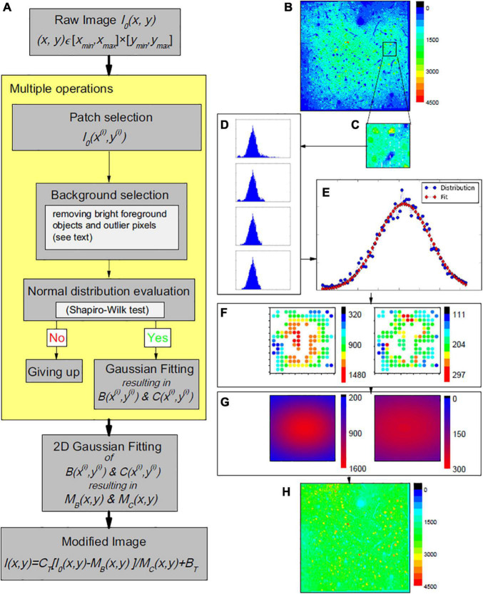 FIGURE 1