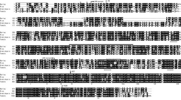 Figure 5.