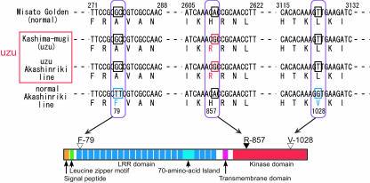 Figure 6.