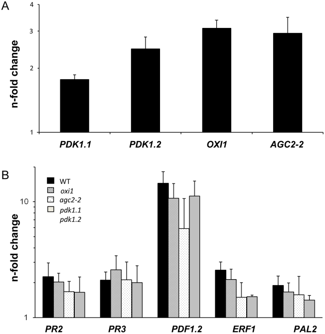 Figure 6