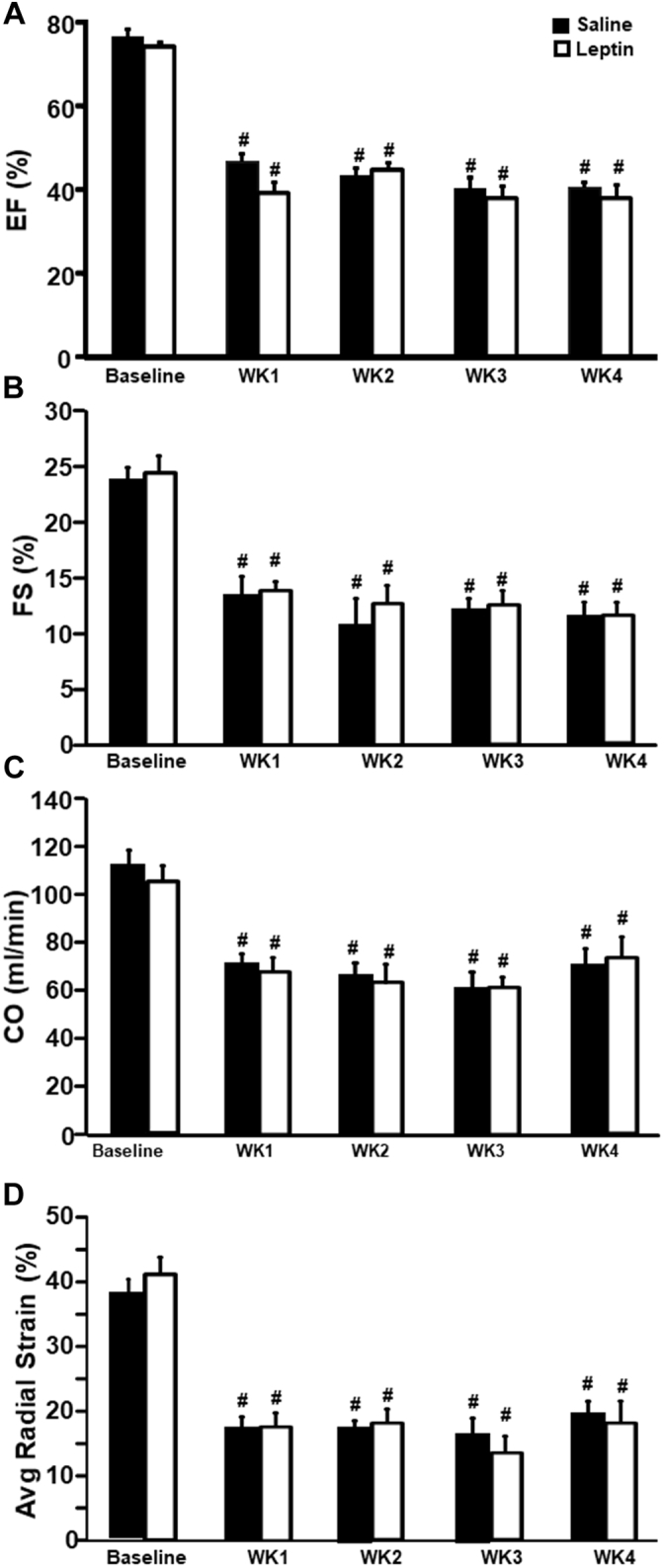 Figure 5