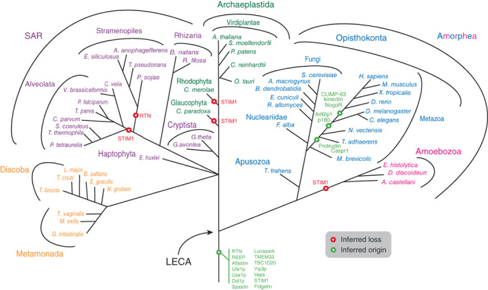 FIGURE 3