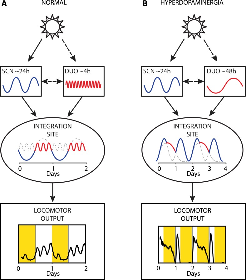 Figure 9.