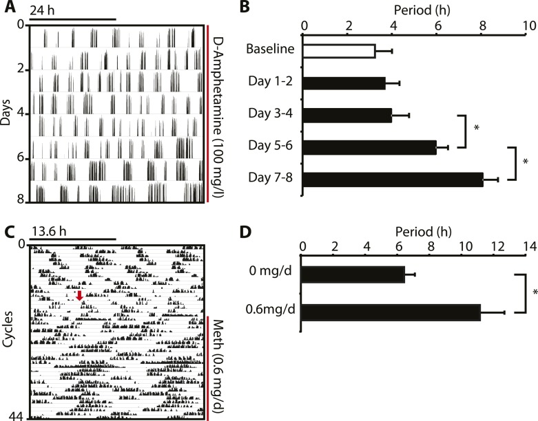 Figure 3—figure supplement 1.