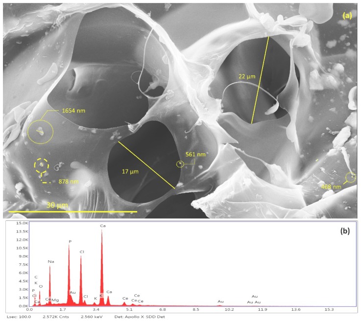 Figure 12