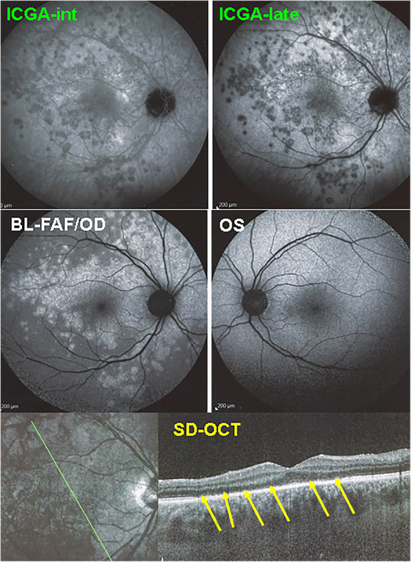 Fig. 7