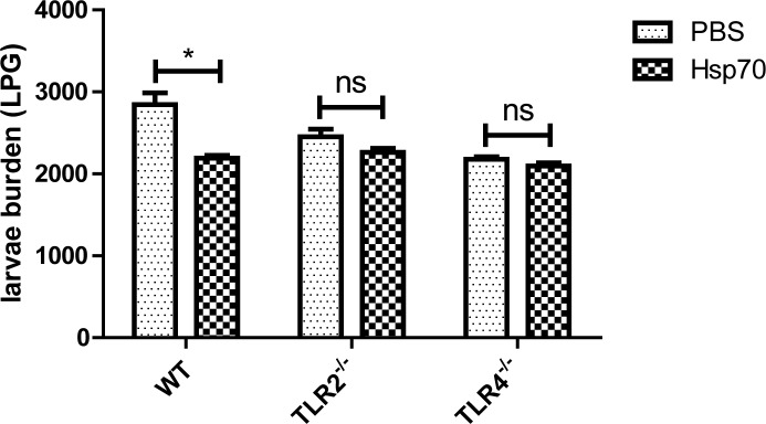 Fig 5