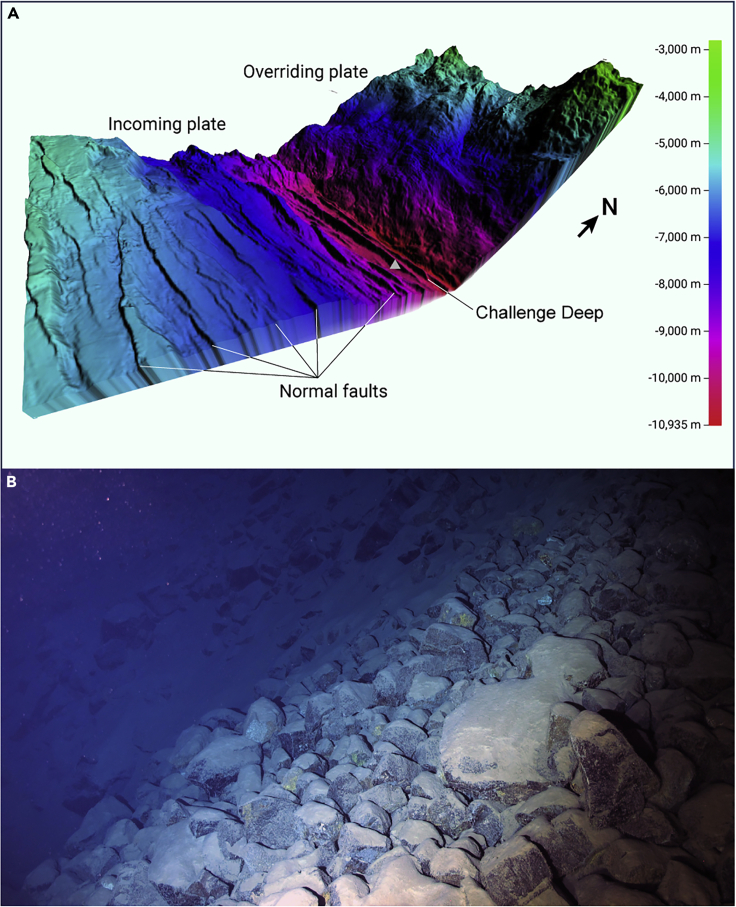 Figure 3