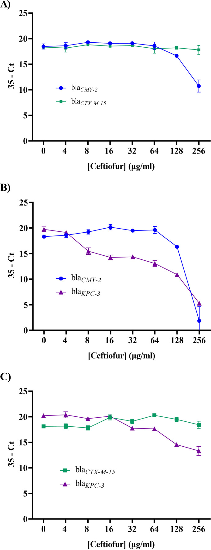 FIG 5