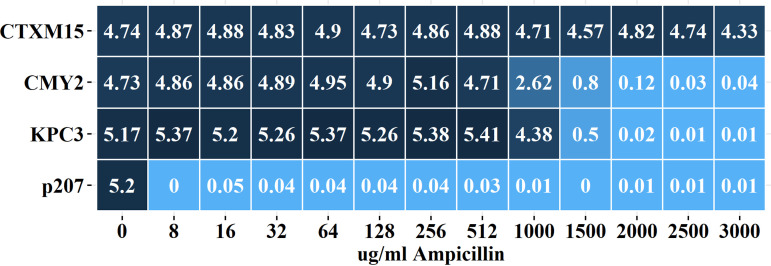 FIG 2