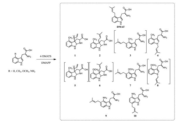 Figure 4