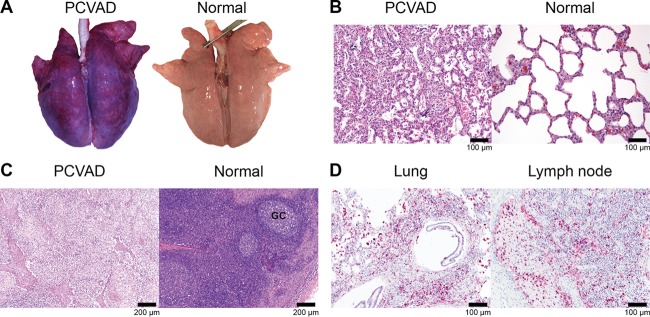 FIG 6