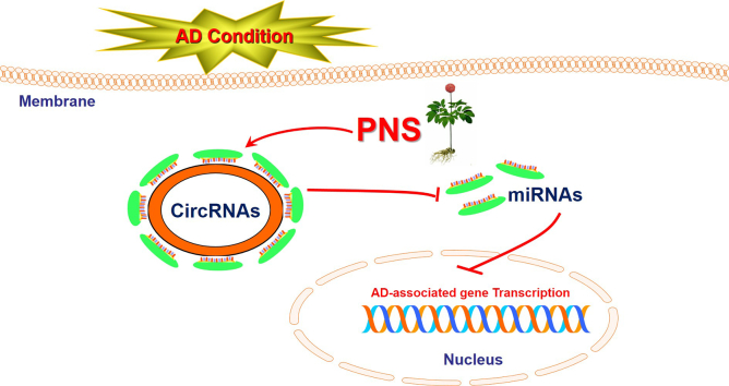 Unlabelled Image