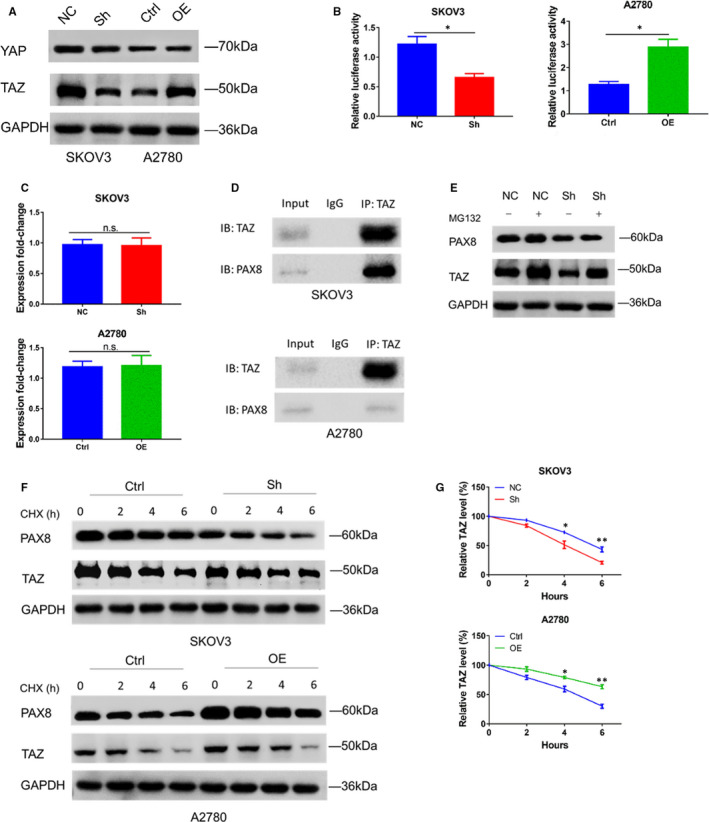 FIGURE 3