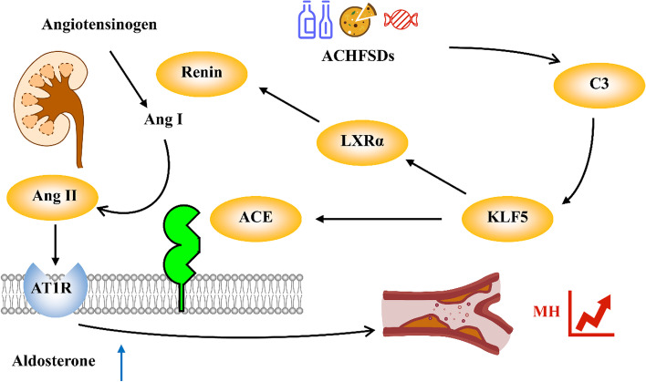 Fig. 7