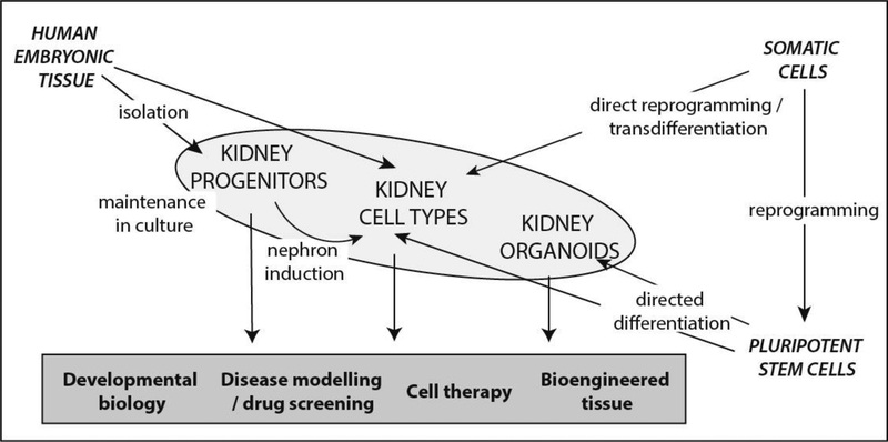 Figure 1: