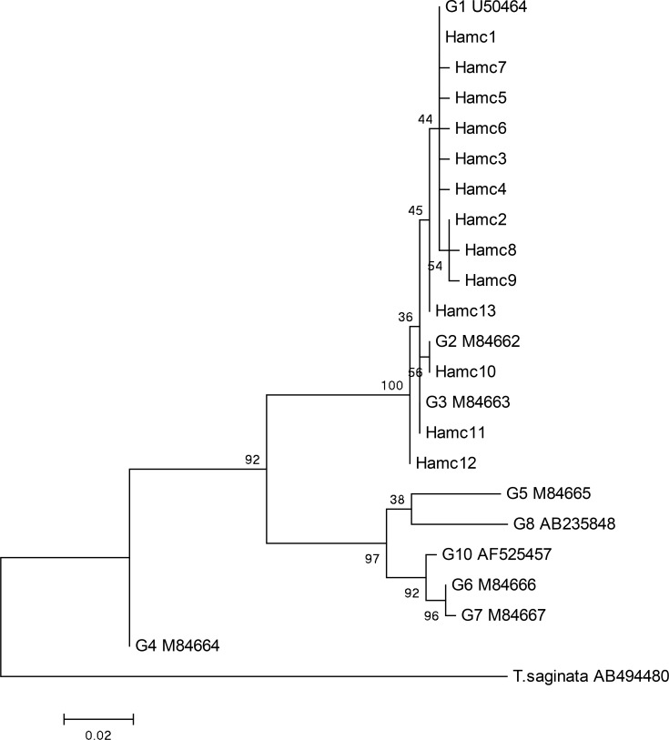 Fig. 1: