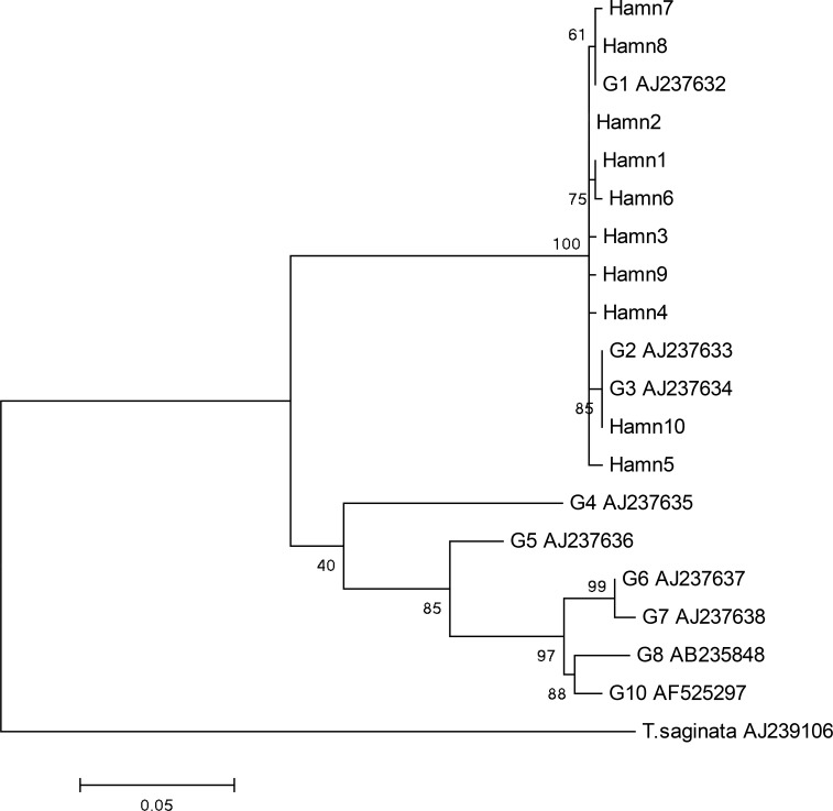 Fig. 2: