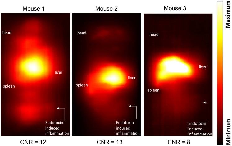 Figure 7