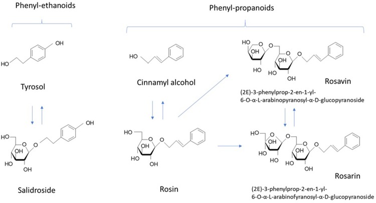 FIGURE 1