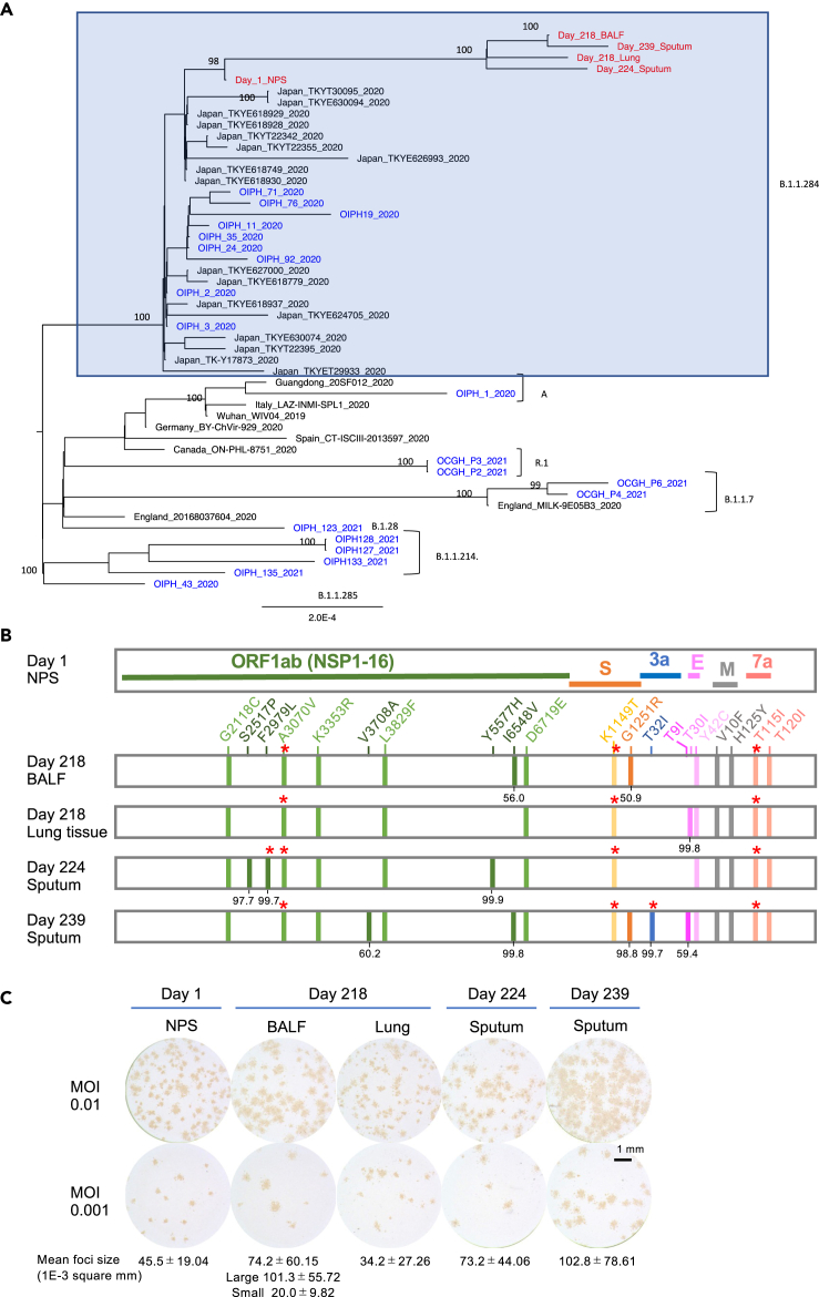 Figure 2