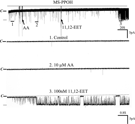 Figure 7.