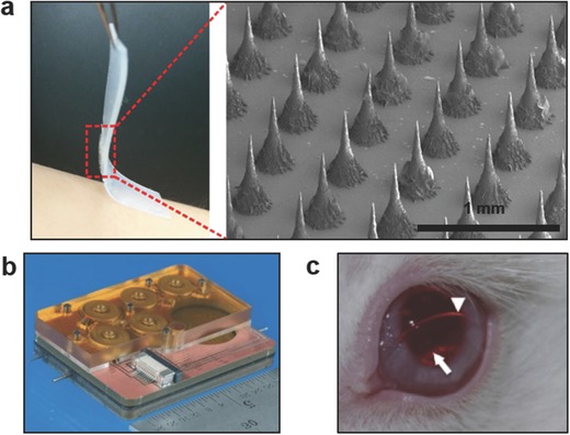 Figure 5