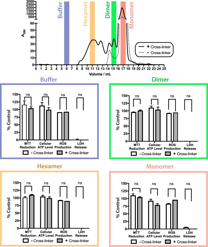 Figure 5—figure supplement 6.