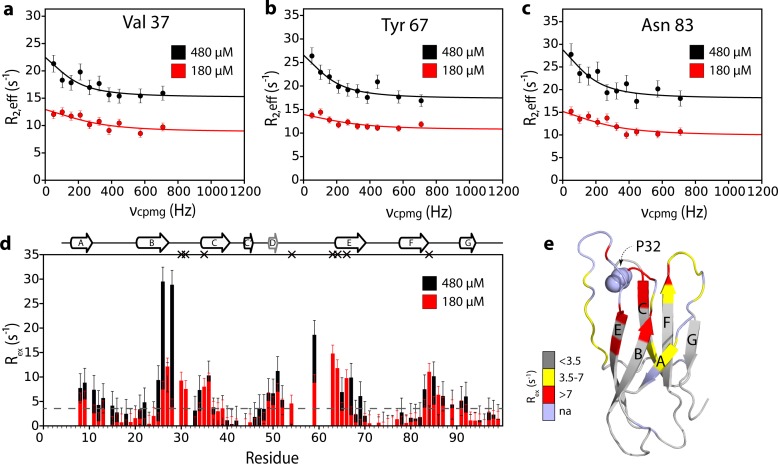 Figure 5—figure supplement 2.