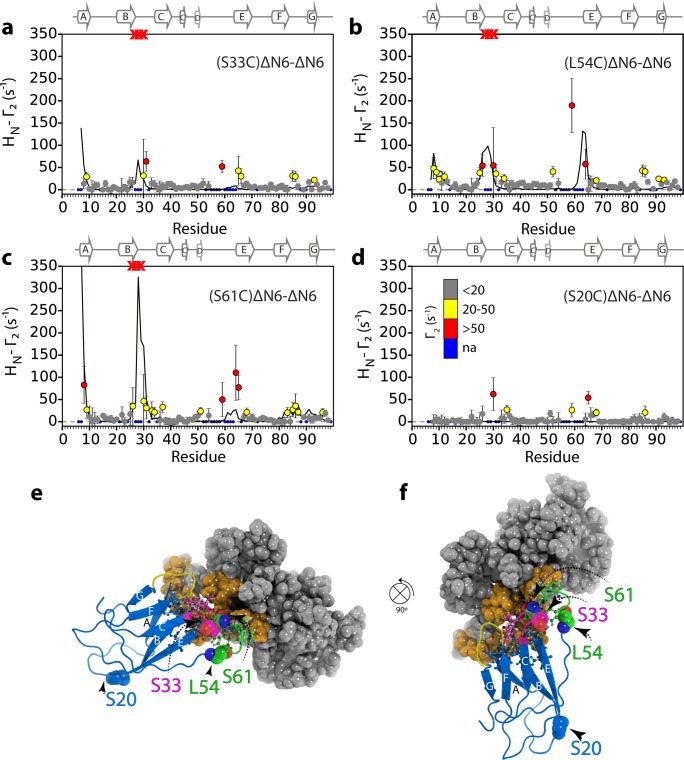 Figure 4—figure supplement 1.