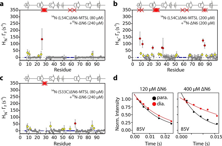 Figure 5—figure supplement 1.