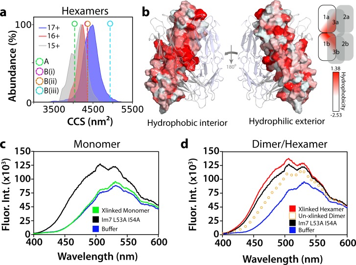 Figure 5—figure supplement 5.