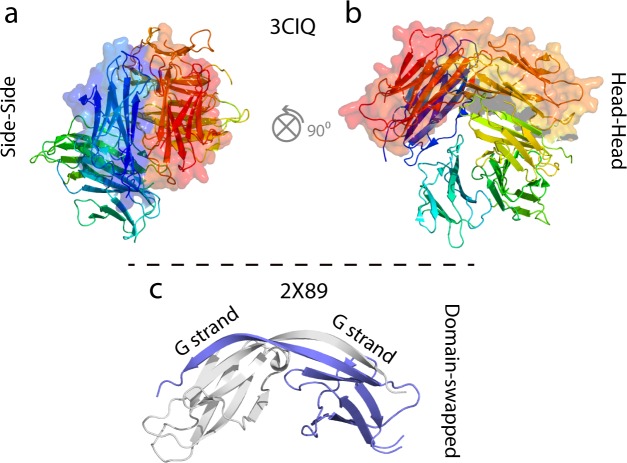 Figure 8—figure supplement 2.