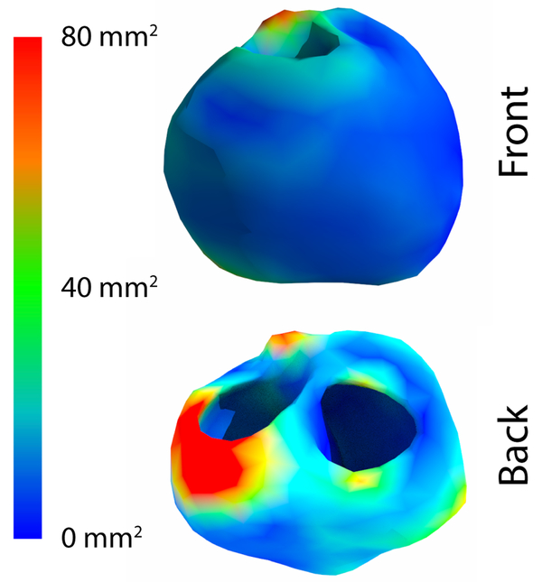 Figure 5.