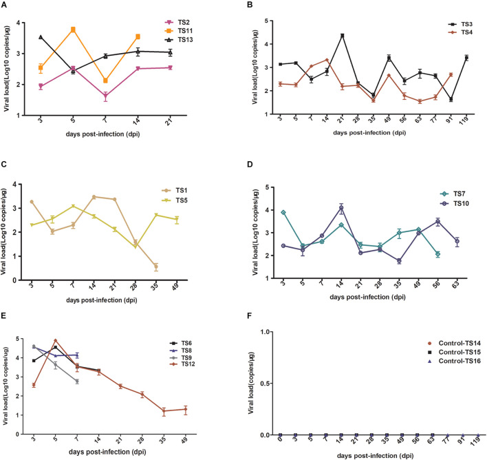 FIGURE 4