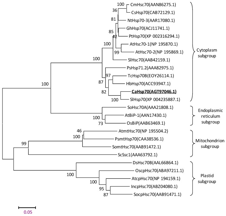 Figure 2