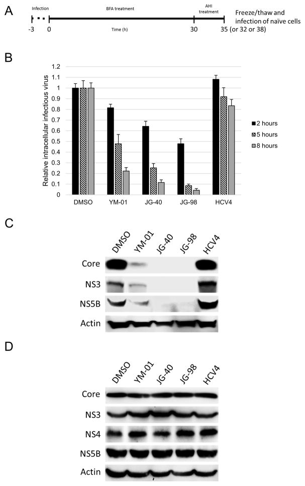 Fig. 6